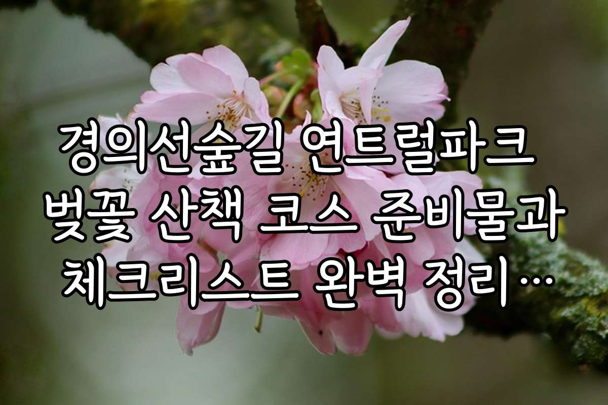 경의선숲길 연트럴파크 벚꽃 산책 코스 준비물과 체크리스트 완벽 정리하기