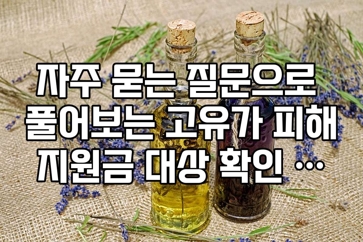 자주 묻는 질문으로 풀어보는 고유가 피해지원금 대상 확인 노하우