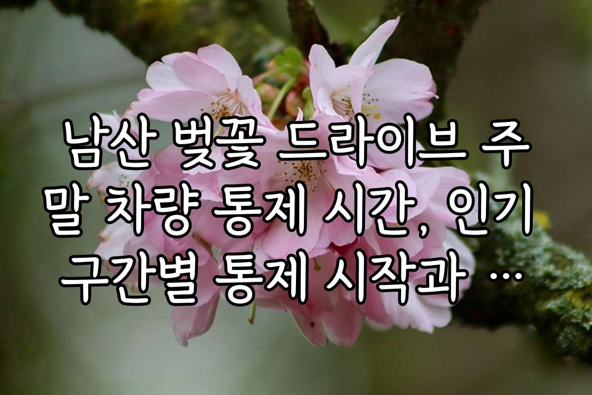 남산 벚꽃 드라이브 주말 차량 통제 시간, 인기 구간별 통제 시작과 종료 시간