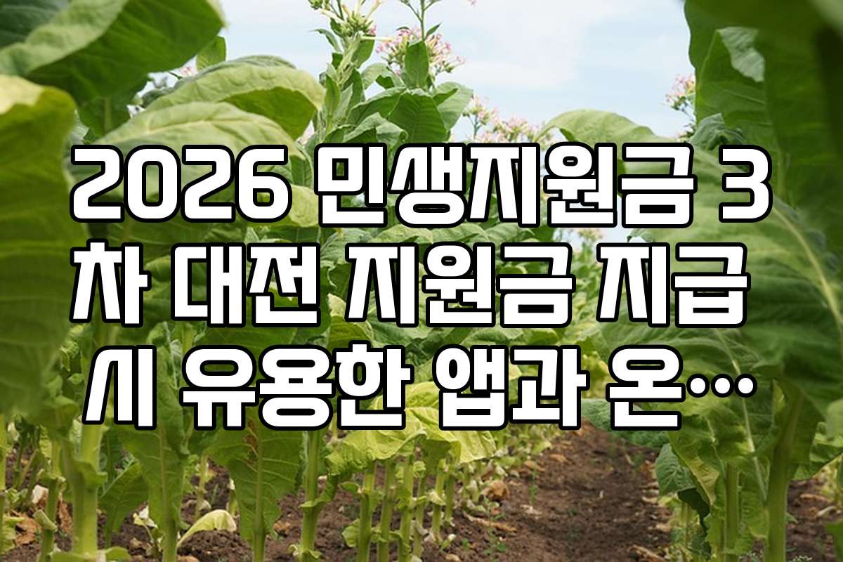 2026 민생지원금 3차 대전 지원금 지급 시 유용한 앱과 온라인 도구 추천
