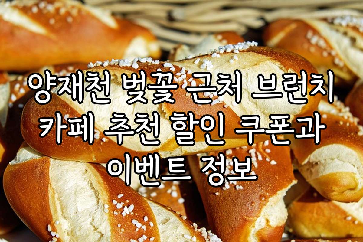 양재천 벚꽃 근처 브런치 카페 추천 할인 쿠폰과 이벤트 정보