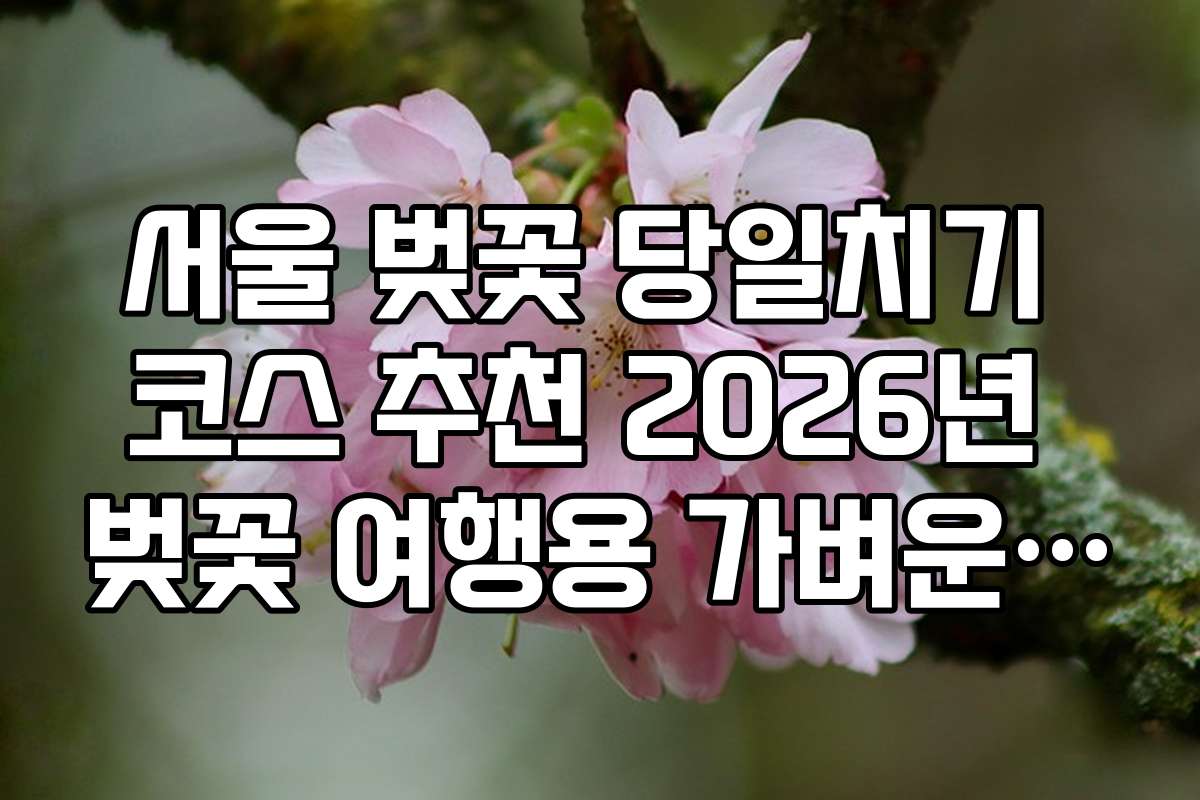 서울 벚꽃 당일치기 코스 추천 2026년 벚꽃 여행용 가벼운 짐 싸기 전략