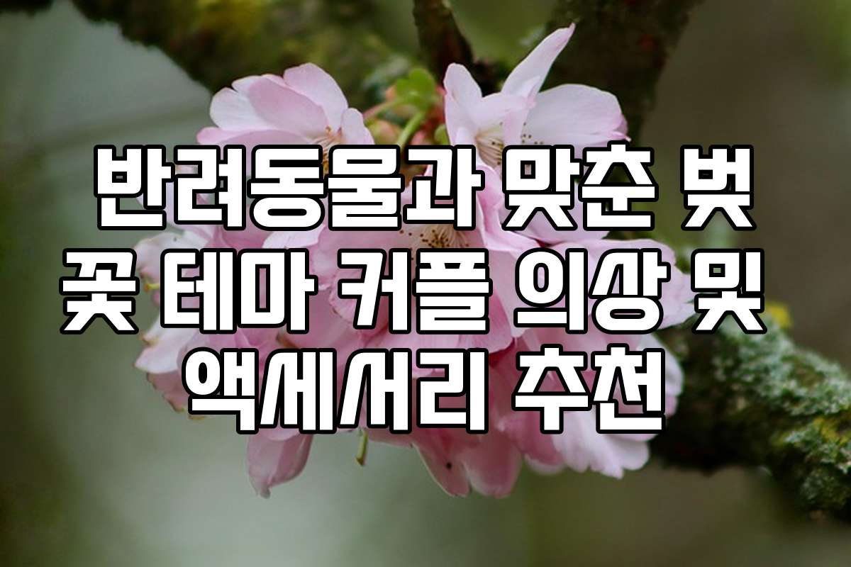 반려동물과 맞춘 벚꽃 테마 커플 의상 및 액세서리 추천