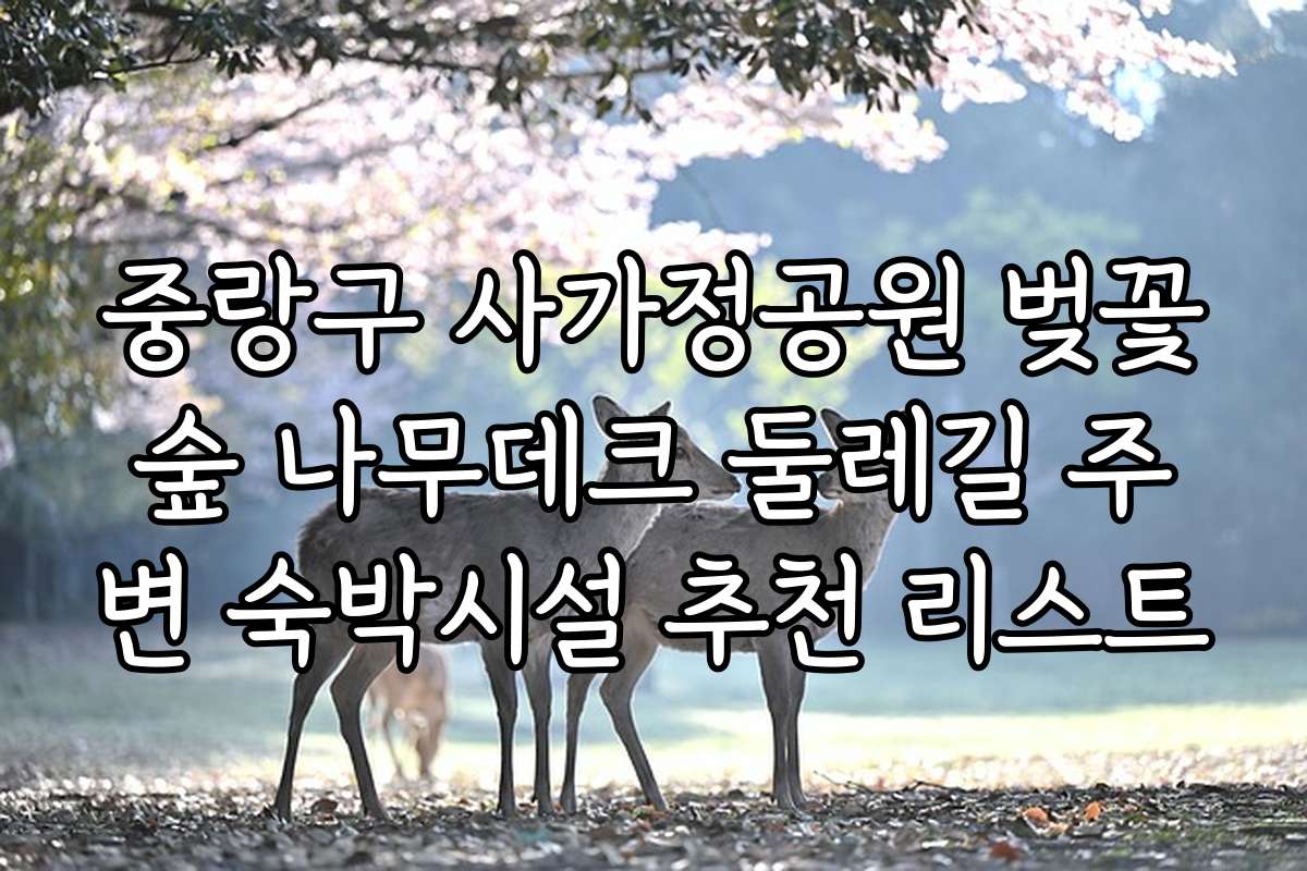 중랑구 사가정공원 벚꽃숲 나무데크 둘레길 주변 숙박시설 추천 리스트