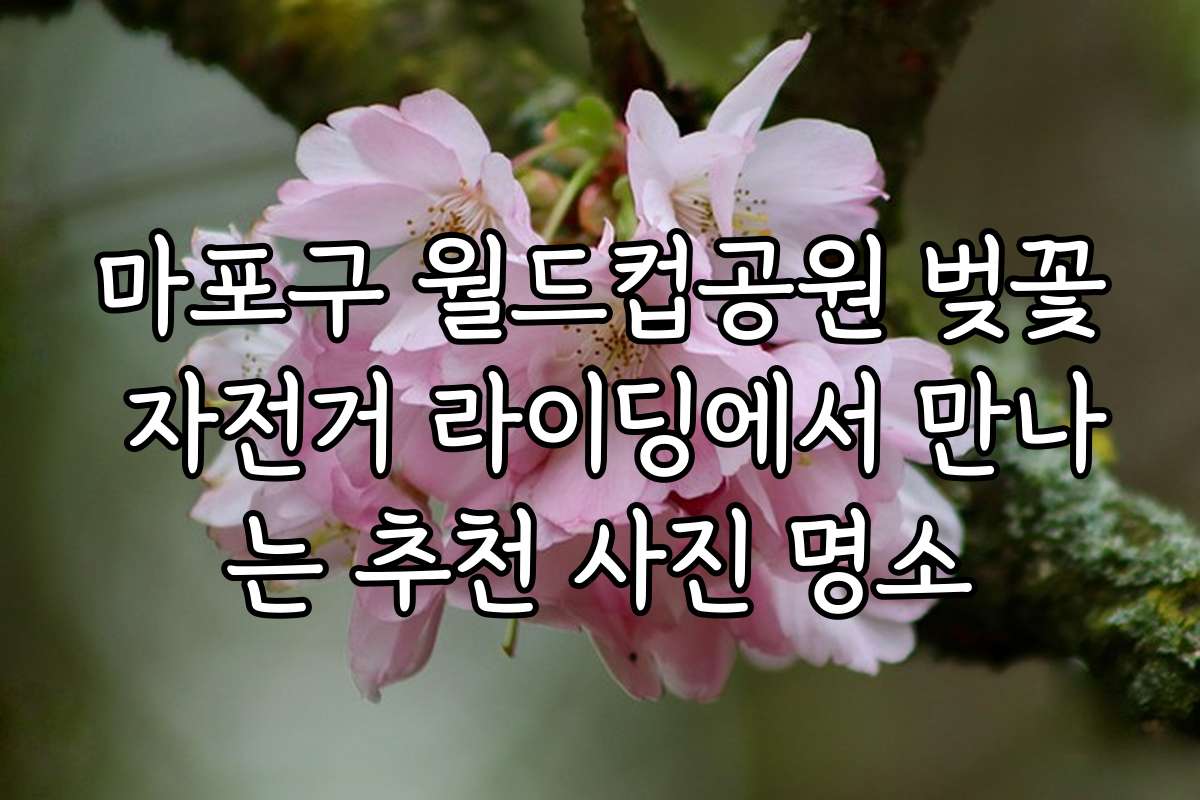 마포구 월드컵공원 벚꽃 자전거 라이딩에서 만나는 추천 사진 명소