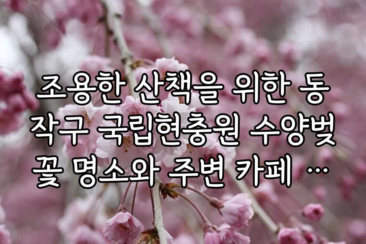 조용한 산책을 위한 동작구 국립현충원 수양벚꽃 명소와 주변 카페 추천