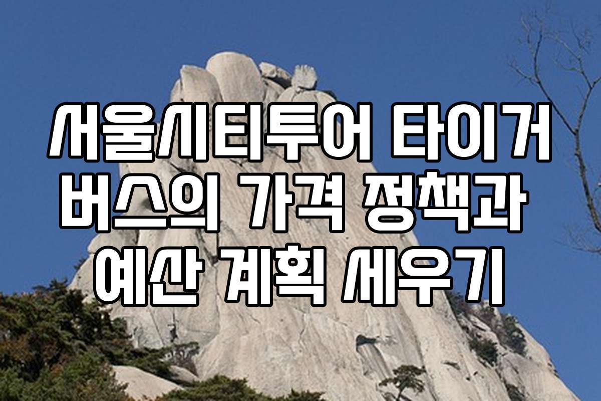 서울시티투어 타이거버스의 가격 정책과 예산 계획 세우기