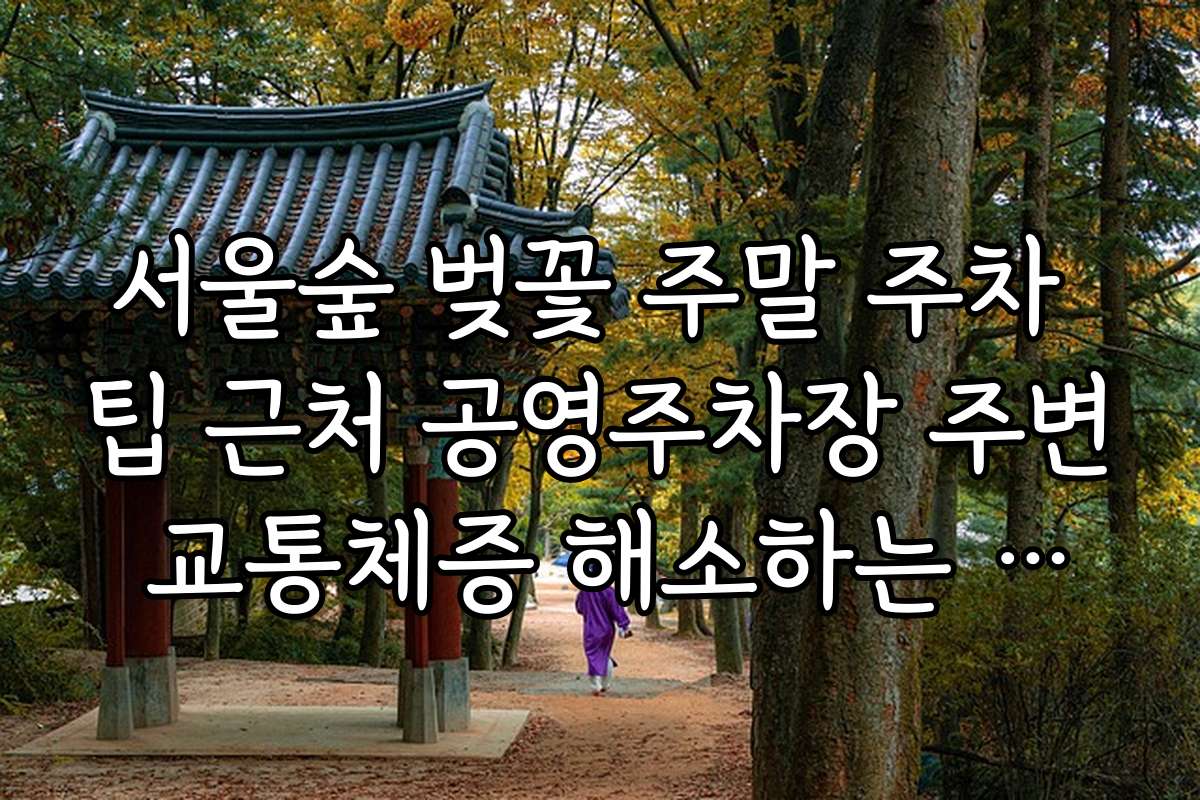 서울숲 벚꽃 주말 주차 팁 근처 공영주차장 주변 교통체증 해소하는 방법