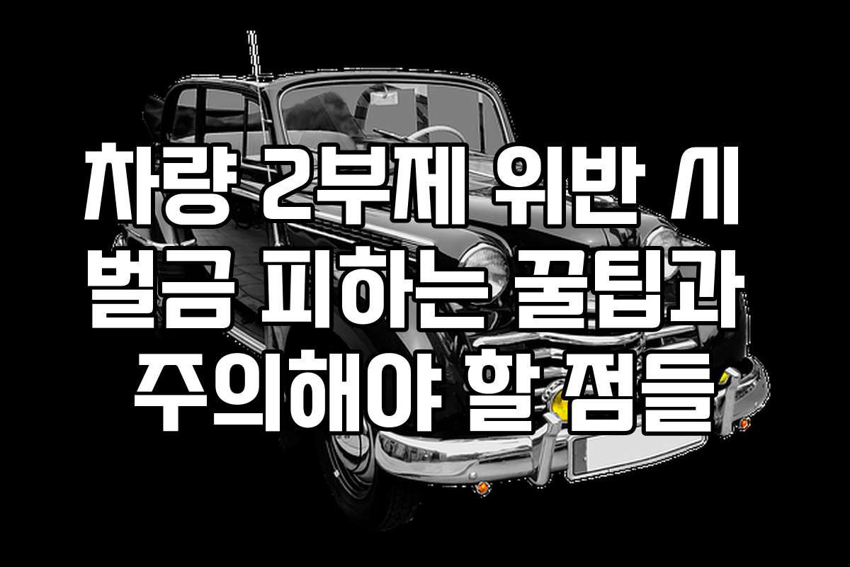 차량 2부제 위반 시 벌금 피하는 꿀팁과 주의해야 할 점들