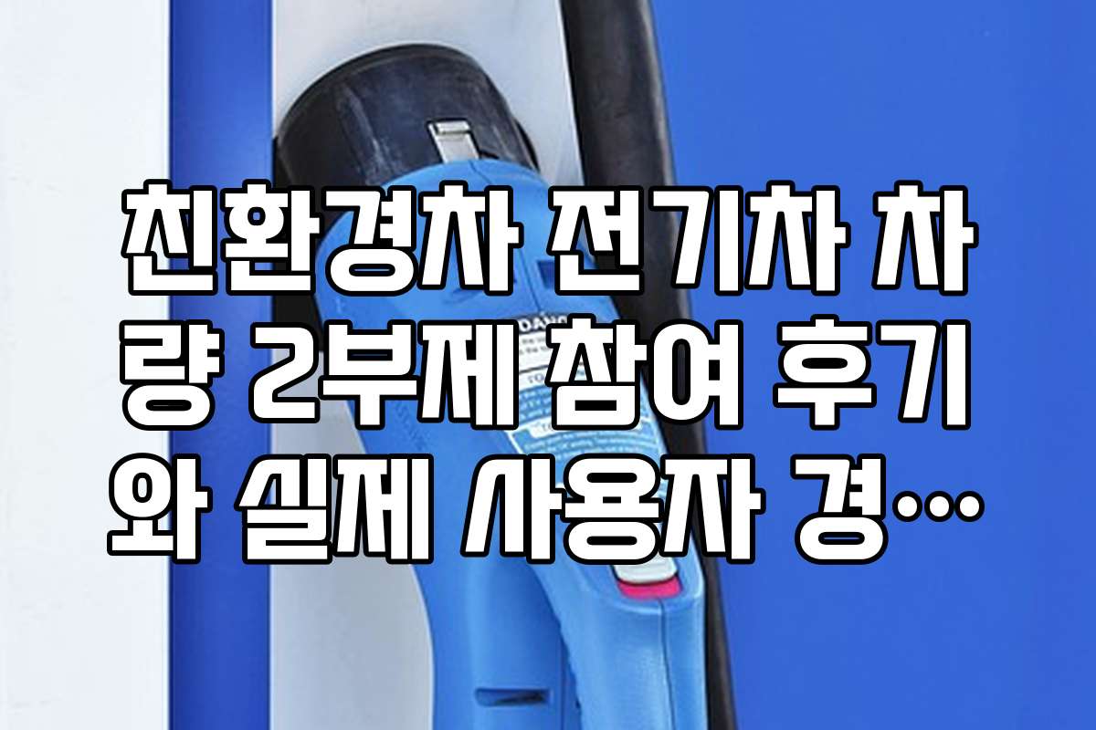 친환경차 전기차 차량 2부제 참여 후기와 실제 사용자 경험을 공유한다
