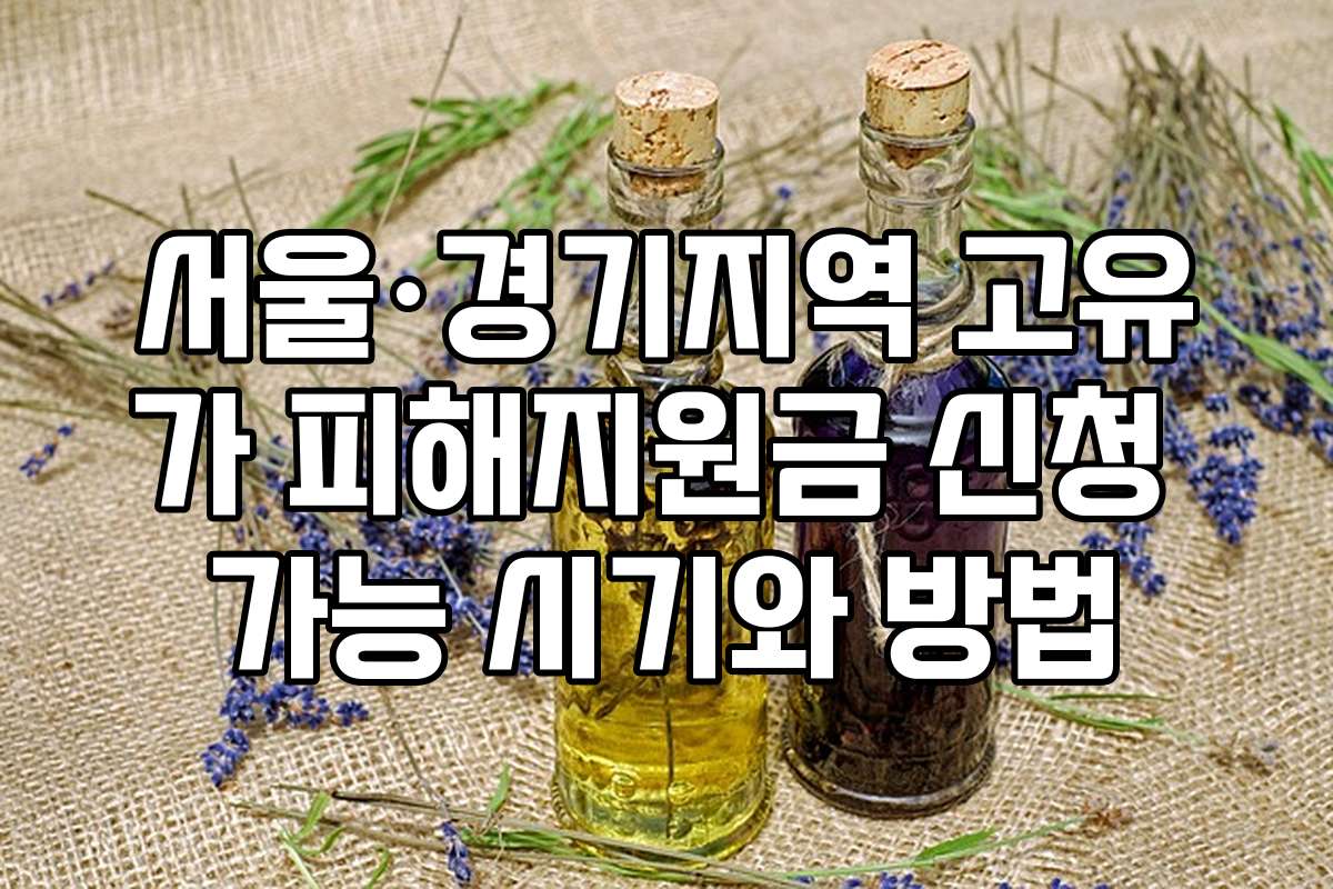 서울·경기지역 고유가 피해지원금 신청 가능 시기와 방법