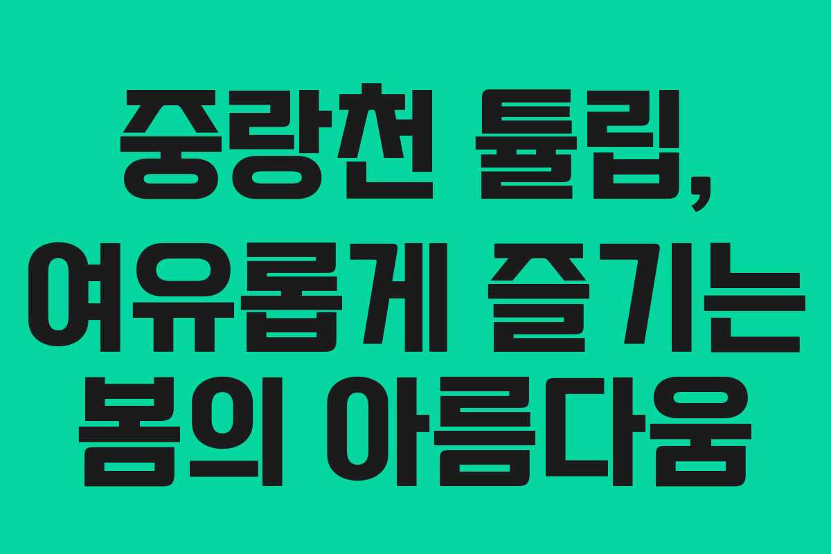 중랑천 튤립, 여유롭게 즐기는 봄의 아름다움