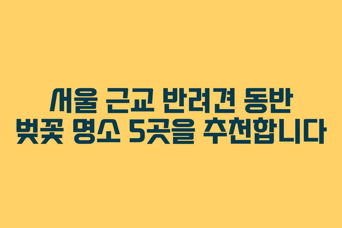 서울 근교 반려견 동반 벚꽃 명소 5곳을 추천합니다