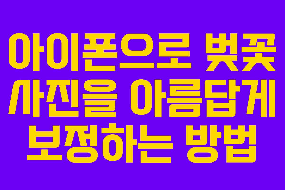 아이폰으로 벚꽃 사진을 아름답게 보정하는 방법