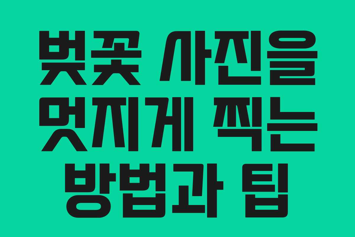벚꽃 사진을 멋지게 찍는 방법과 팁