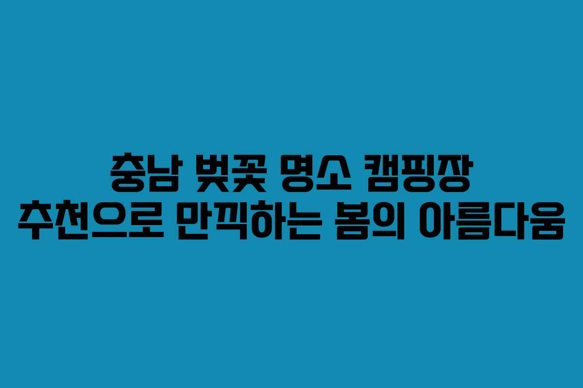 충남 벚꽃 명소 캠핑장 추천으로 만끽하는 봄의 아름다움