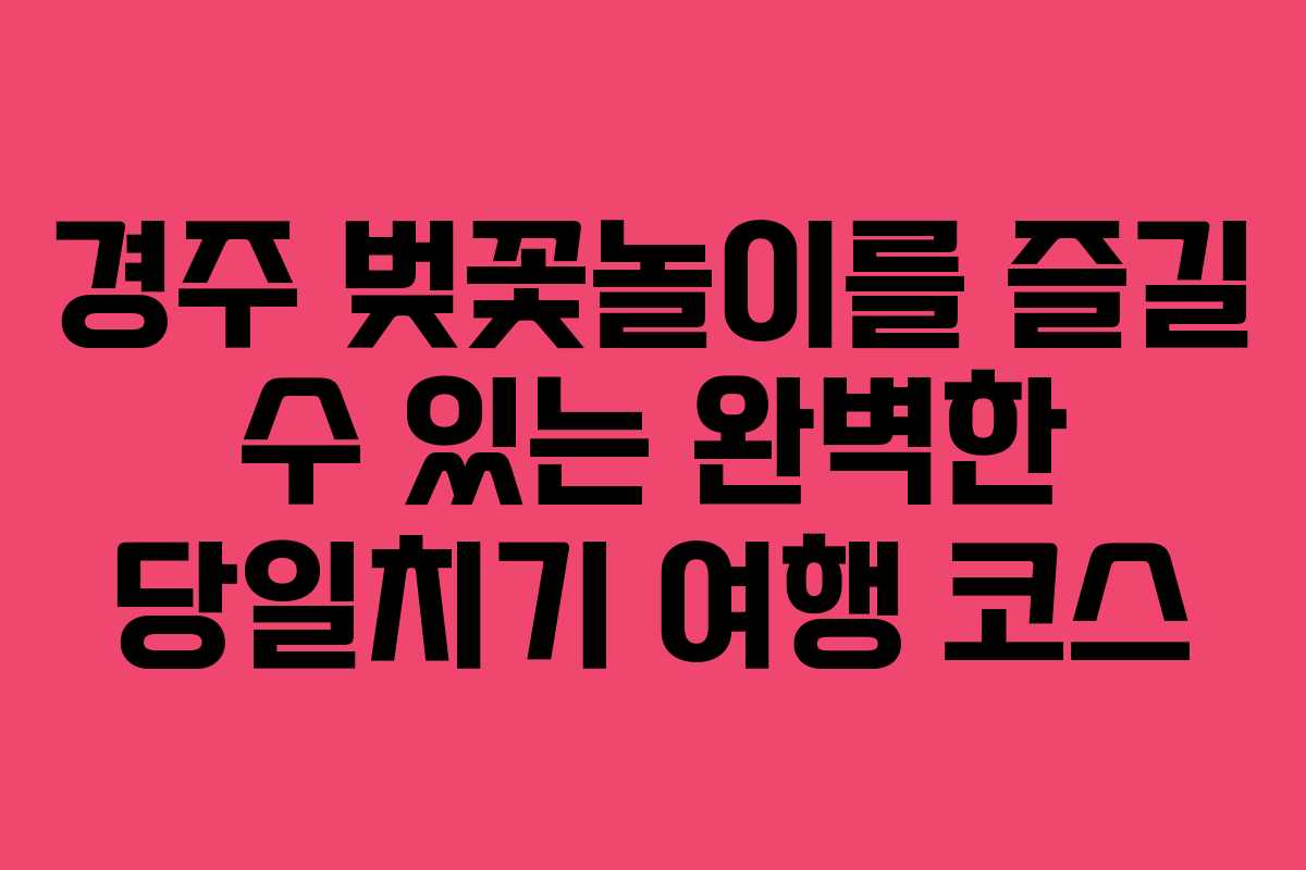 경주 벚꽃놀이를 즐길 수 있는 완벽한 당일치기 여행 코스