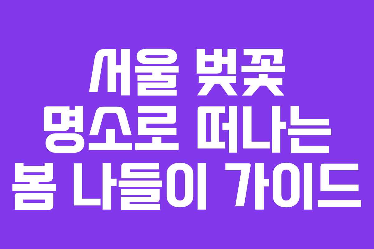 서울 벚꽃 명소로 떠나는 봄 나들이 가이드