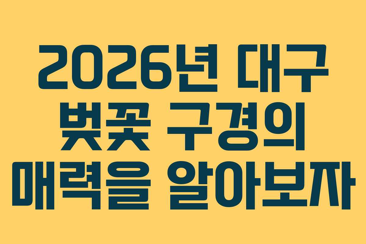 2026년 대구 벚꽃 구경의 매력을 알아보자