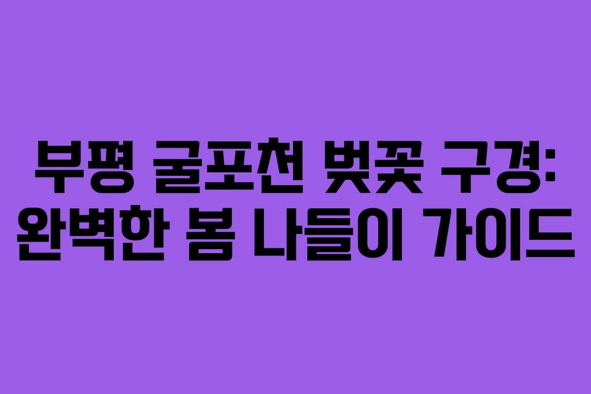 부평 굴포천 벚꽃 구경: 완벽한 봄 나들이 가이드
