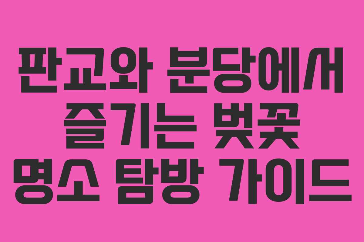 판교와 분당에서 즐기는 벚꽃 명소 탐방 가이드