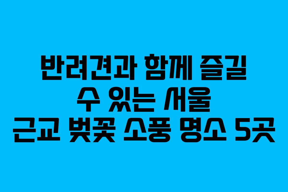 반려견과 함께 즐길 수 있는 서울 근교 벚꽃 소풍 명소 5곳