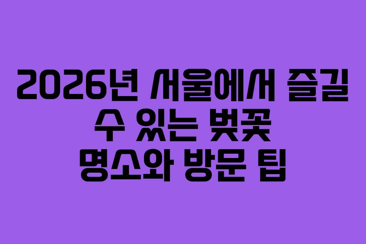 2026년 서울에서 즐길 수 있는 벚꽃 명소와 방문 팁