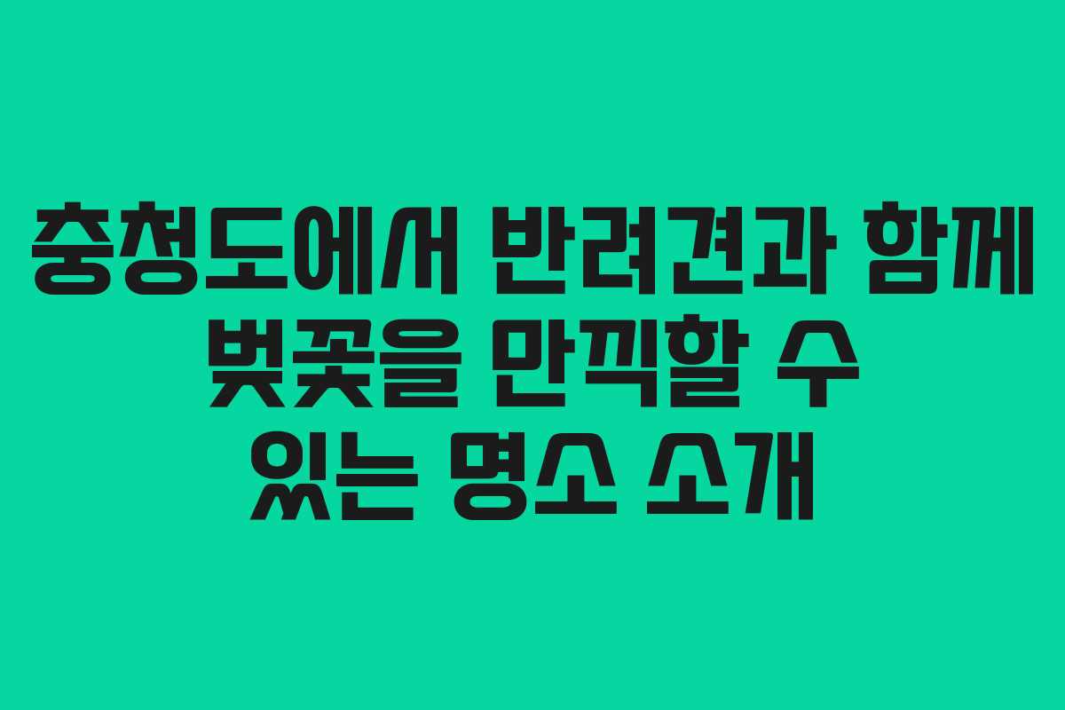 충청도에서 반려견과 함께 벚꽃을 만끽할 수 있는 명소 소개