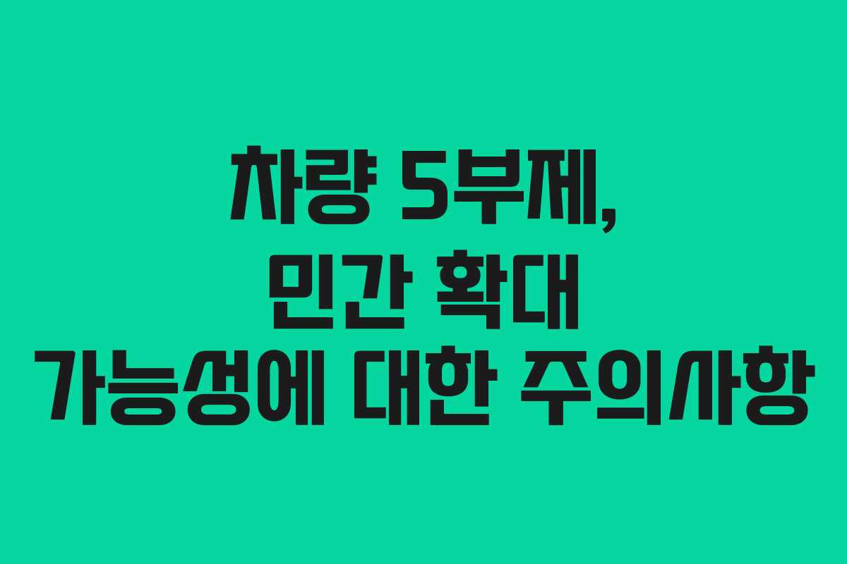 차량 5부제, 민간 확대 가능성에 대한 주의사항