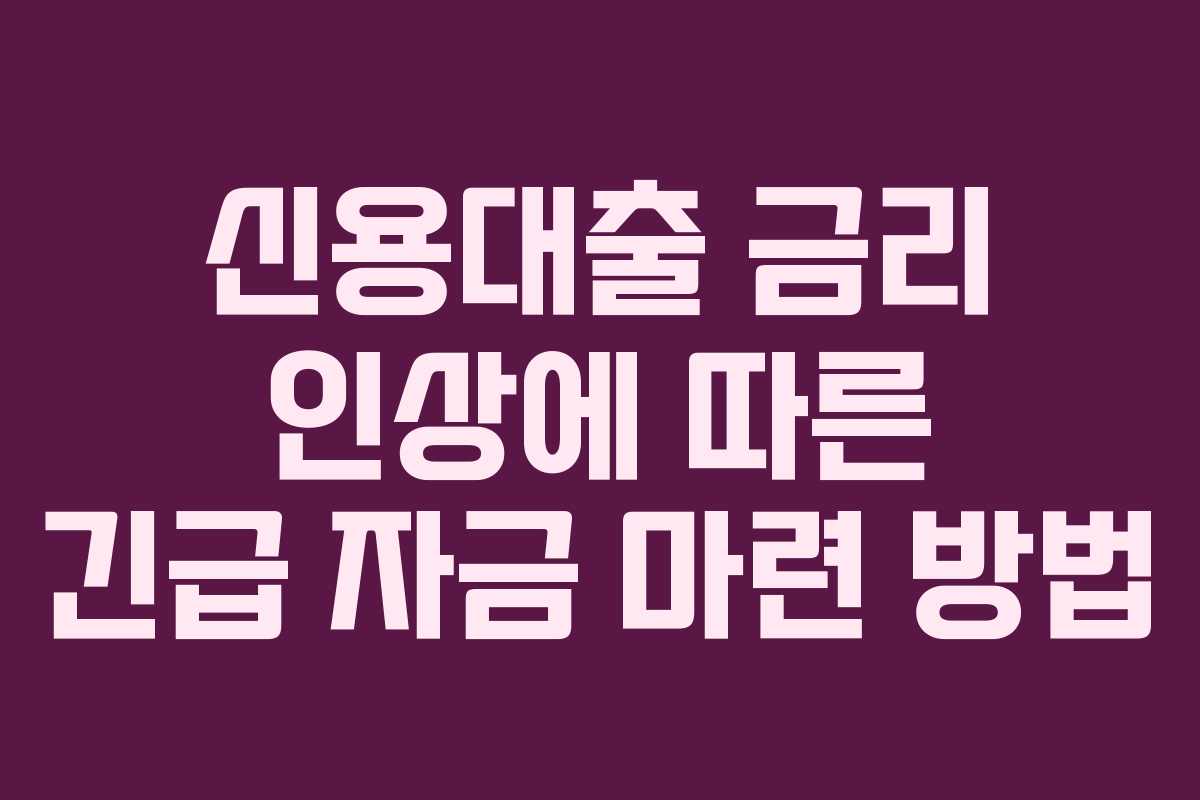 신용대출 금리 인상에 따른 긴급 자금 마련 방법