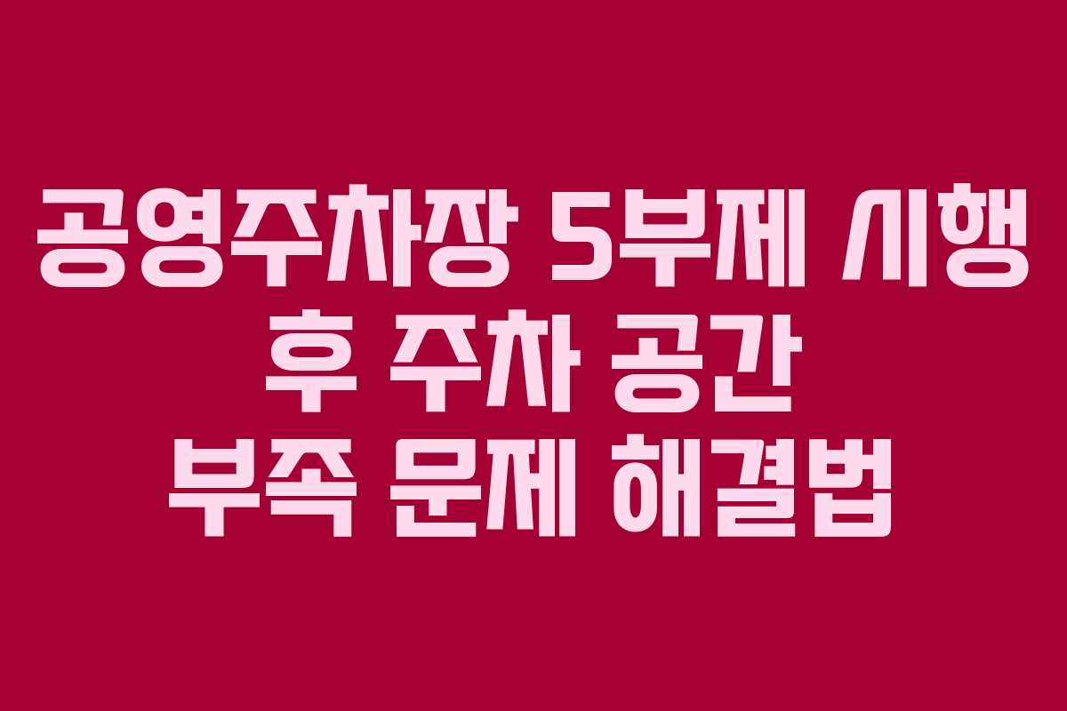 공영주차장 5부제 시행 후 주차 공간 부족 문제 해결법