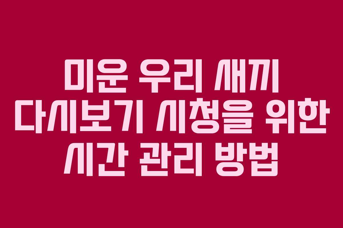 미운 우리 새끼 다시보기 시청을 위한 시간 관리 방법
