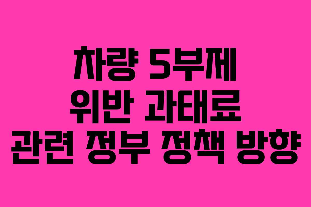 차량 5부제 위반 과태료 관련 정부 정책 방향