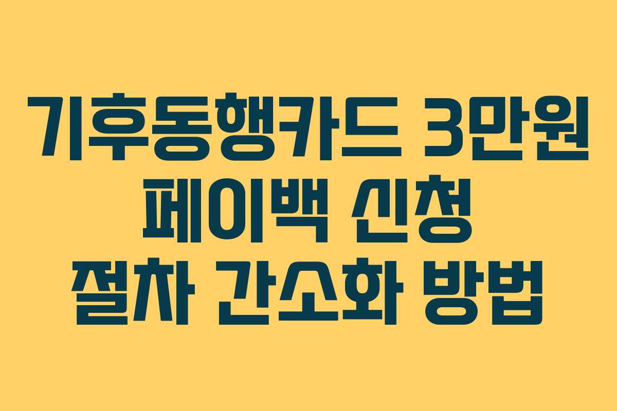 기후동행카드 3만원 페이백 신청 절차 간소화 방법