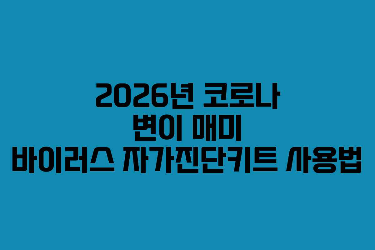 2026년 코로나 변이 매미 바이러스 자가진단키트 사용법