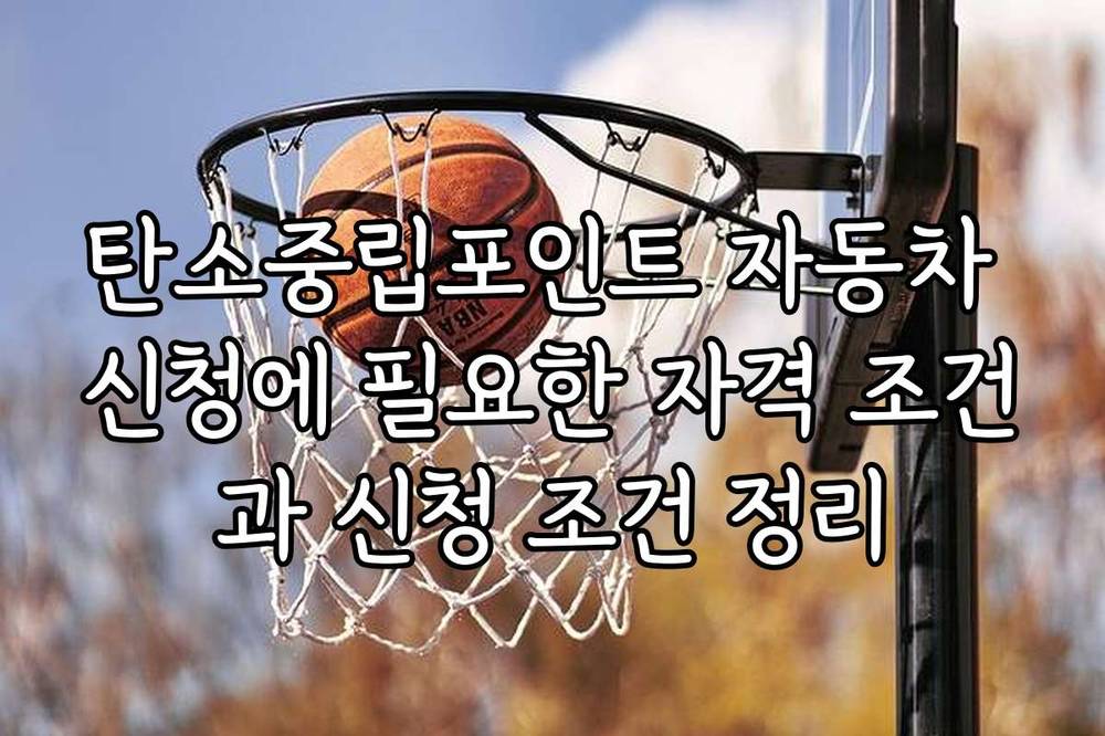 탄소중립포인트 자동차 신청에 필요한 자격 조건과 신청 조건 정리