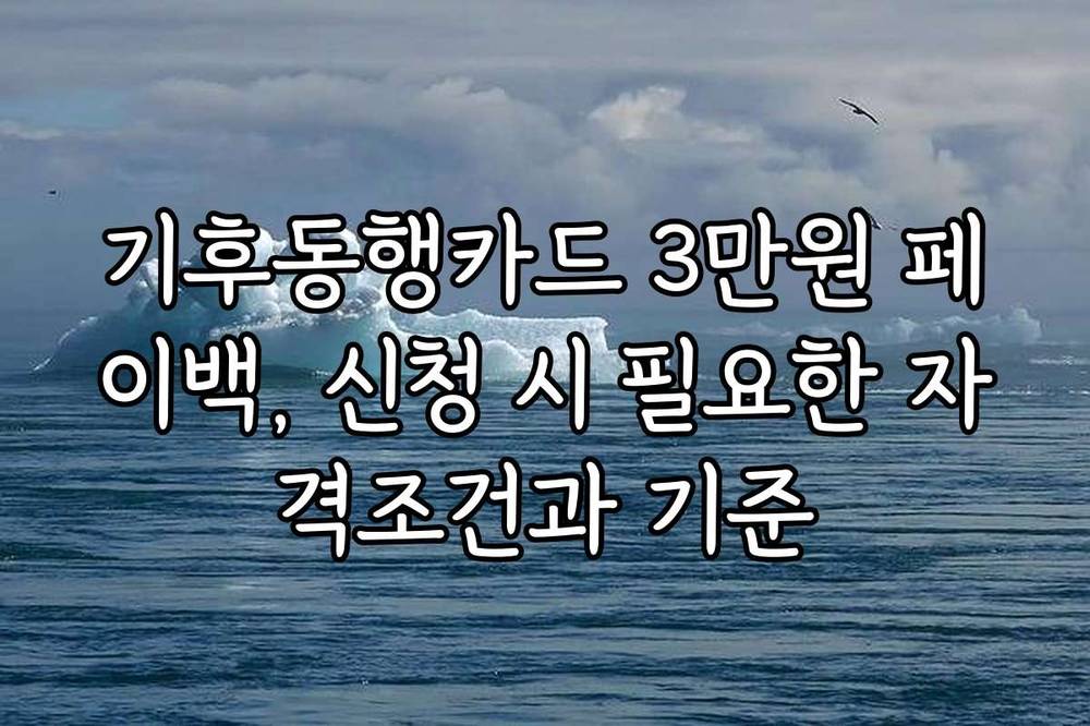 기후동행카드 3만원 페이백, 신청 시 필요한 자격조건과 기준