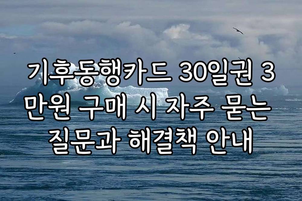기후동행카드 30일권 3만원 구매 시 자주 묻는 질문과 해결책 안내