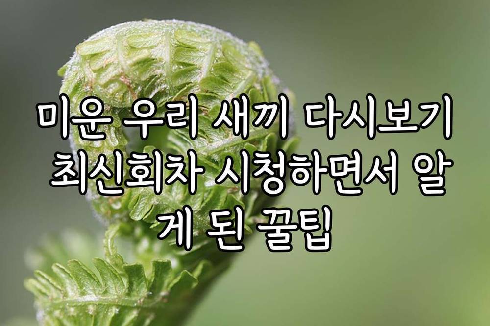 미운 우리 새끼 다시보기 최신회차 시청하면서 알게 된 꿀팁