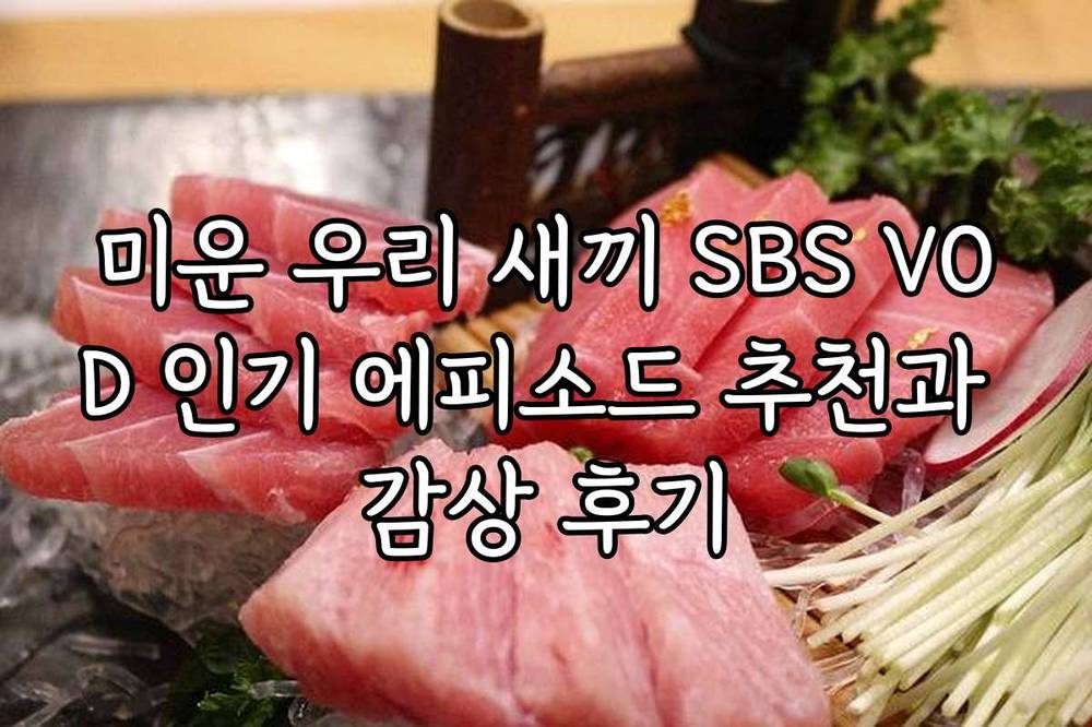 미운 우리 새끼 SBS VOD 인기 에피소드 추천과 감상 후기