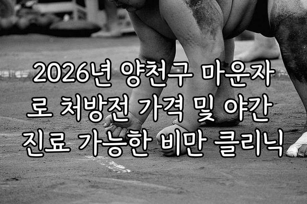 2026년 양천구 마운자로 처방전 가격 및 야간 진료 가능한 비만 클리닉