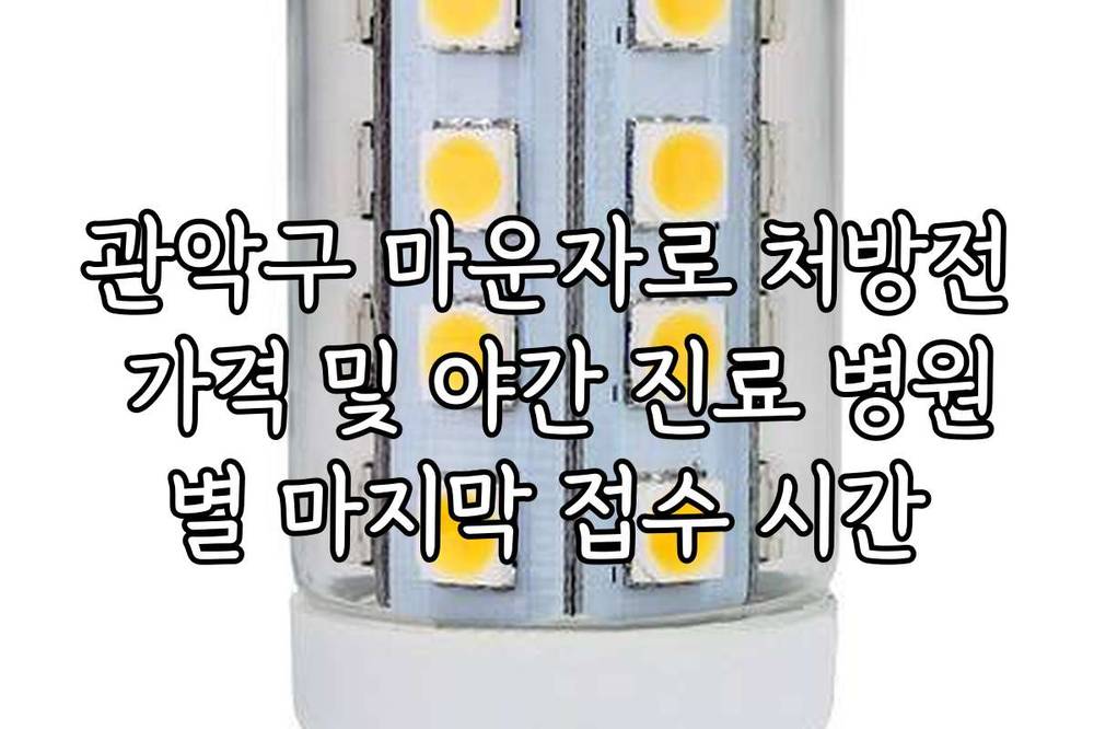 관악구 마운자로 처방전 가격 및 야간 진료 병원별 마지막 접수 시간