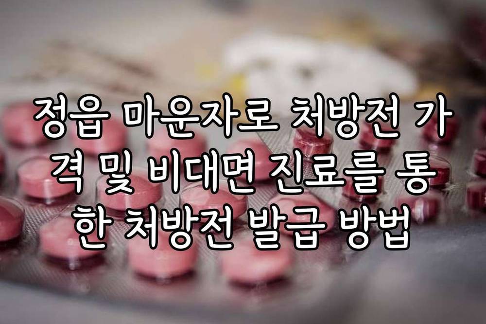 정읍 마운자로 처방전 가격 및 비대면 진료를 통한 처방전 발급 방법