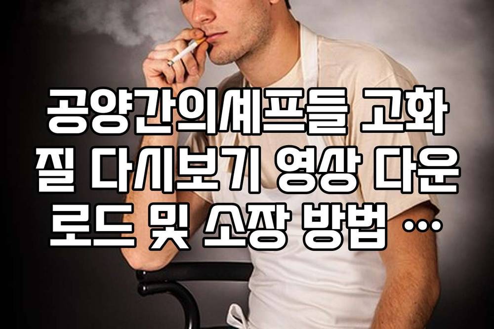 공양간의셰프들 고화질 다시보기 영상 다운로드 및 소장 방법 안내