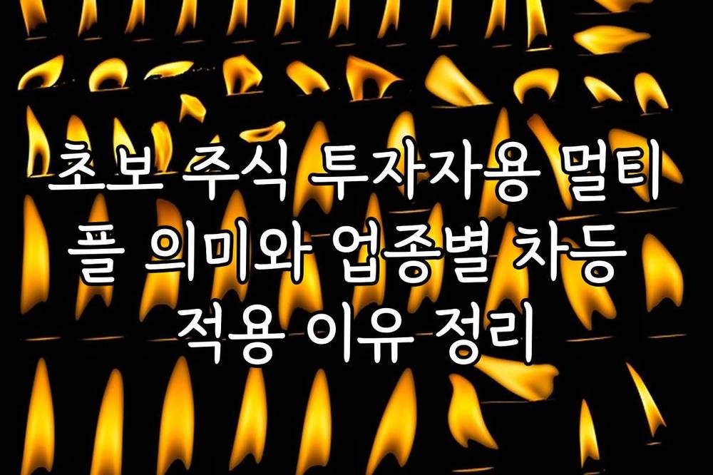 초보 주식 투자자용 멀티플 의미와 업종별 차등 적용 이유 정리