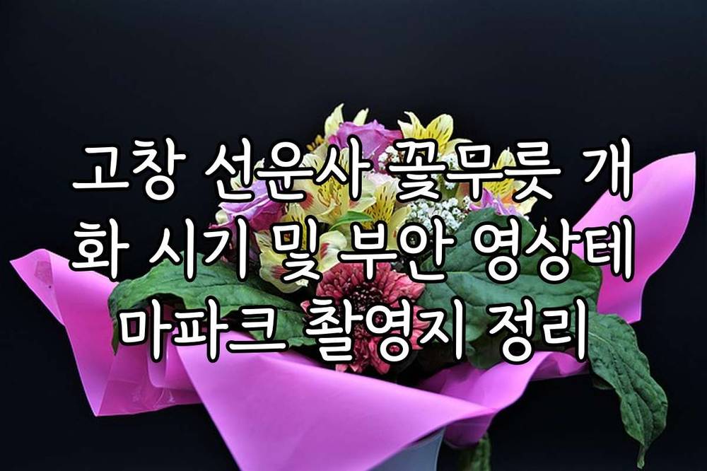 고창 선운사 꽃무릇 개화 시기 및 부안 영상테마파크 촬영지 정리