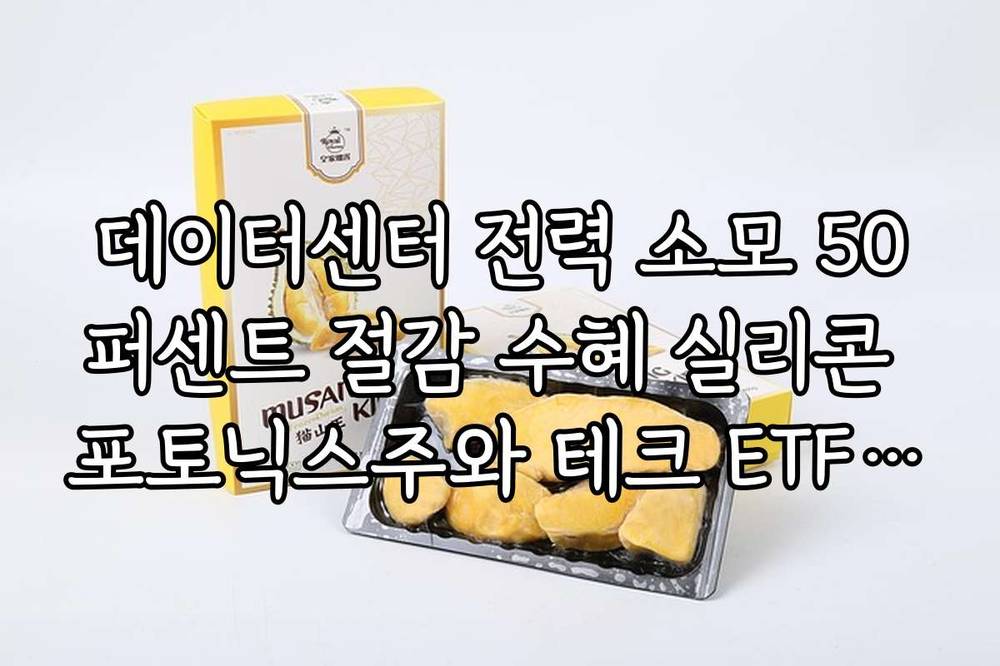 데이터센터 전력 소모 50퍼센트 절감 수혜 실리콘 포토닉스주와 테크 ETF 분석