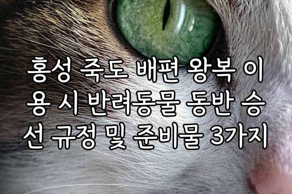 홍성 죽도 배편 왕복 이용 시 반려동물 동반 승선 규정 및 준비물 3가지