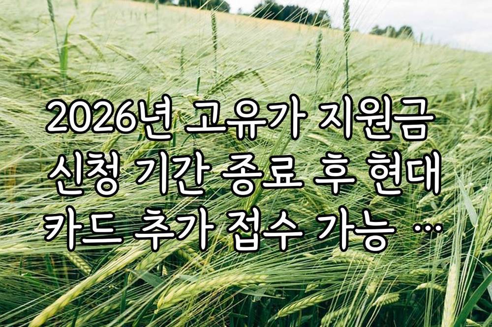 2026년 고유가 지원금 신청 기간 종료 후 현대카드 추가 접수 가능 여부