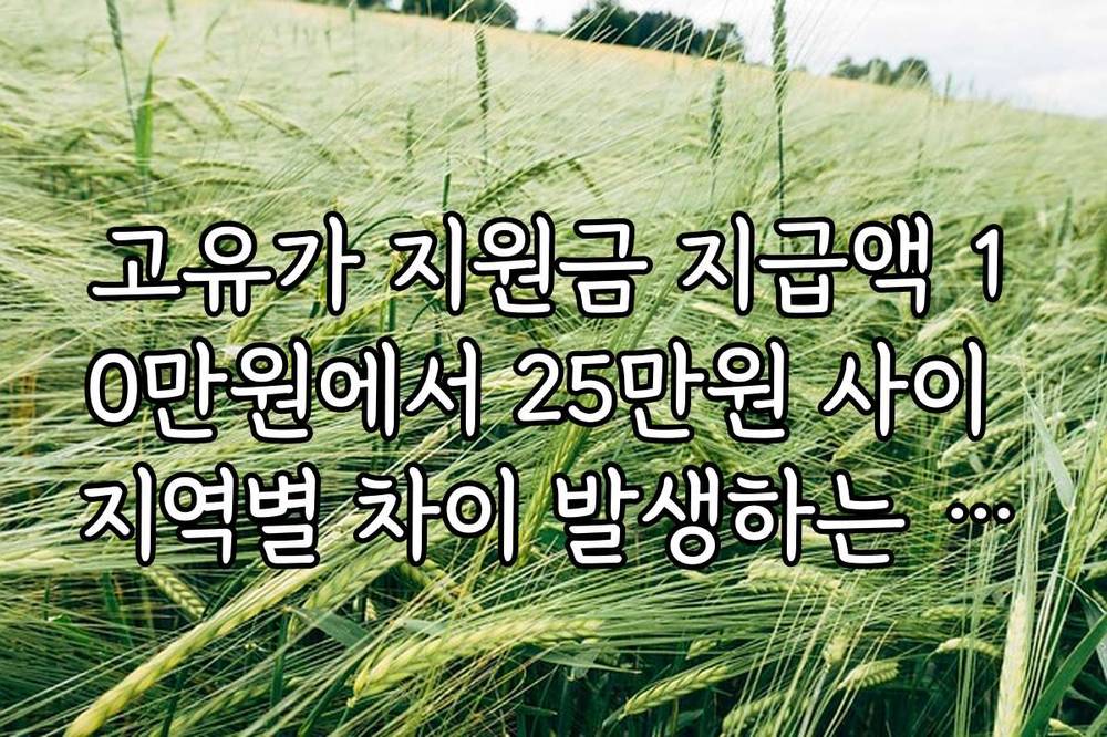 고유가 지원금 지급액 10만원에서 25만원 사이 지역별 차이 발생하는 이유